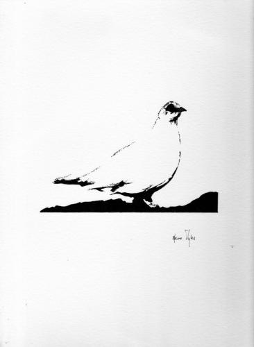 Rock Ptarmigan - Nunavut